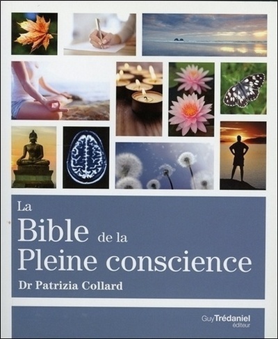 Picture of La Bible de la Pleine Conscience
