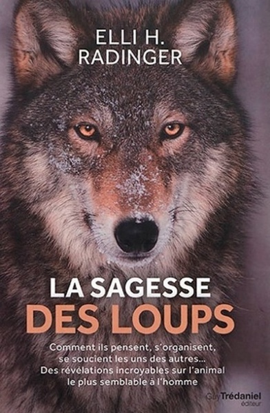 Image de La sagesse des loups