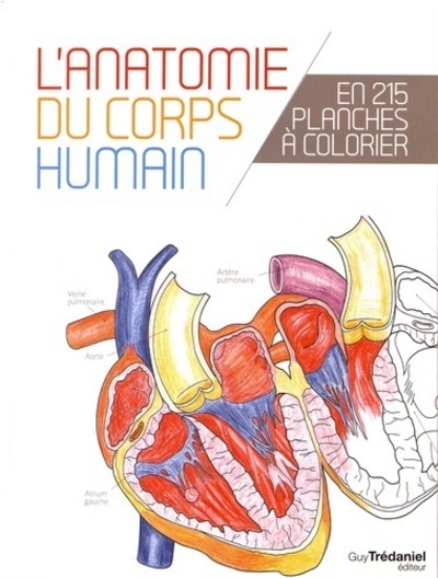Picture of L'anatomie du corps humain en 25 planches à colorier