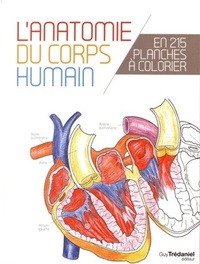 Picture of L'anatomie du corps humain en 25 planches à colorier