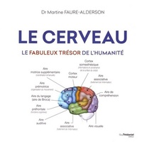 Image de Le cerveau - Le fabuleux trésor de l'humanité