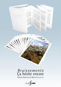 Image de Bruissements, ça hésite encore