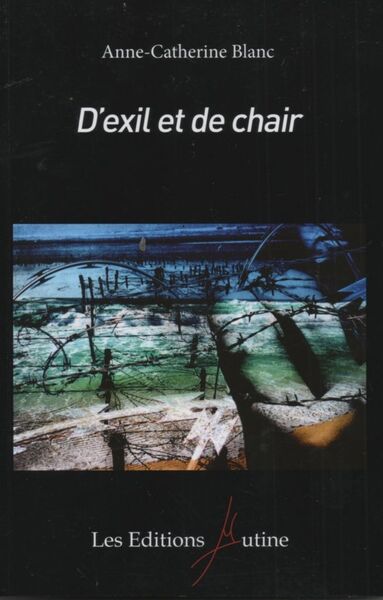 Image de D'exil et de chair