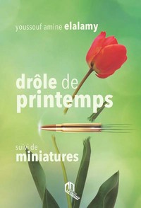 Image de DROLE DE PRINTEMPS : SUIVI DE MINIATURES