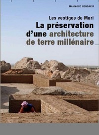 Image de Les Vestiges de Mari, la préservation d'une architecture de terre millénaire