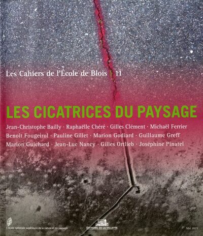 Picture of Les Cahiers de l'école de Blois - tome 11 Les cicatrices du paysage