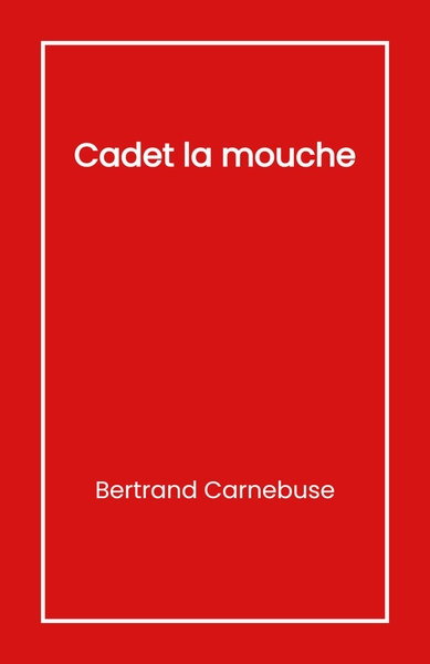 Picture of Cadet la mouche