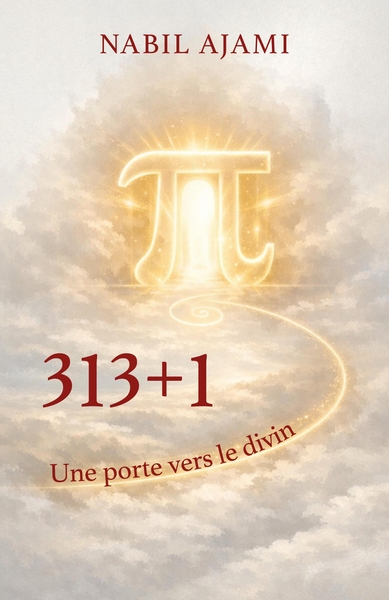 Picture of 313+1