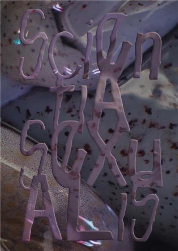 Picture of Scientia Sexualis /anglais