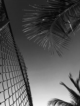 Image de Chris Ofili: Paradise Lost /anglais