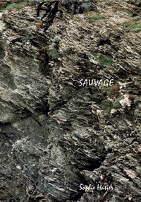 Picture of Sauvage