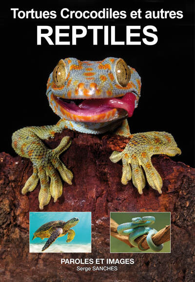 Image de REPTILES