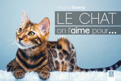 Image de Le chat on l'aime pour...