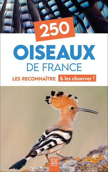 Picture of 250 Oiseaux de France