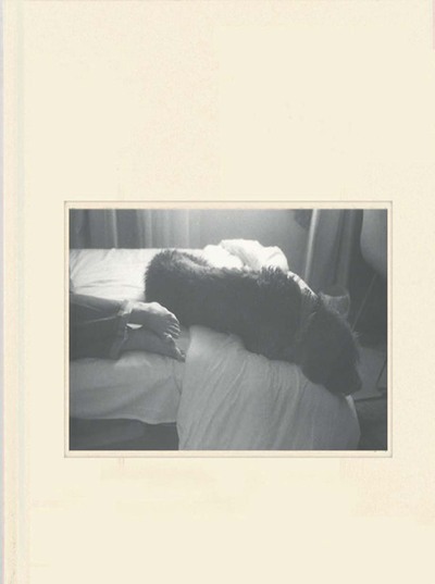 Image de Saving Daylight