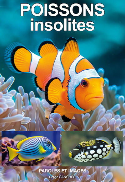 Picture of POISSONS insolites