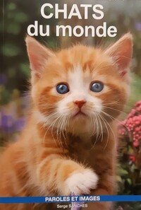 Picture of CHATS DU MONDE