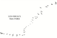 Image de Les Oiseaux