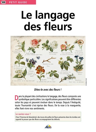 Picture of LE LANGAGE DES FLEURS