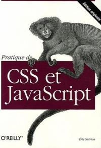 Picture of Pratique de CSS et JavaScript