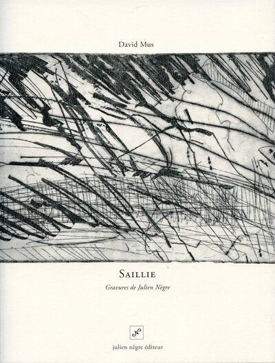Picture of Saillie