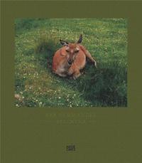 Image de Eva Vermandel Splinter /anglais