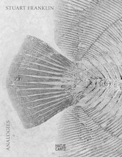 Picture of Stuart Franklin Analogies (Special Edition) /anglais