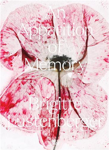 Picture of Brigitte Lustenberger. An Apparition of Memory /anglais