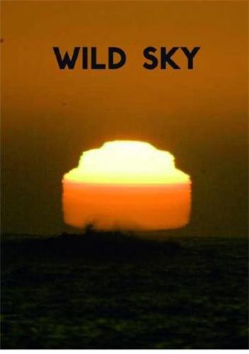 Picture of Wild Sky /anglais/allemand