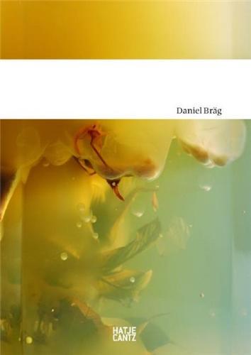 Picture of Daniel Brag /anglais/allemand