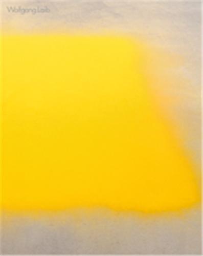 Picture of Wolfgang Laib The Ephemeral Is Eternal /anglais/allemand