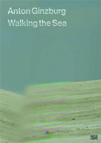 Picture of Anton Ginzburg Walking the Sea /anglais