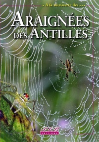 Image de Araignées des Antilles
