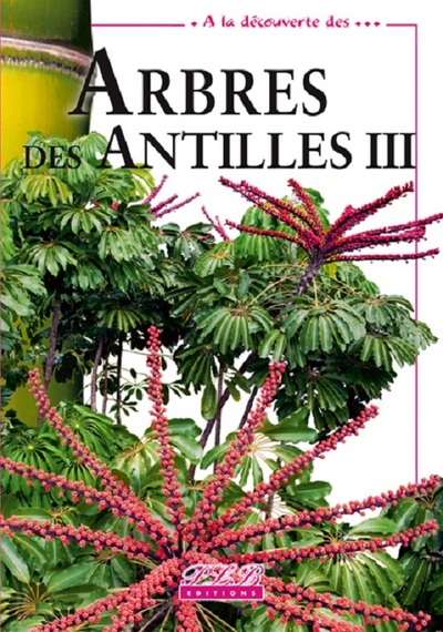 Picture of Arbres introduits des Antilles