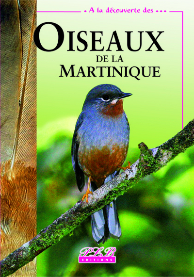 Image de Oiseaux de la Martinique
