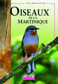 Image de Oiseaux de la Martinique