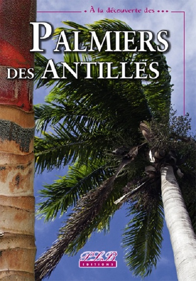 Picture of Palmiers des Antilles françaises