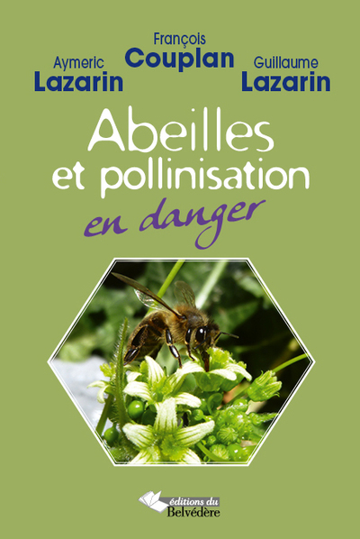 Image de Abeilles et pollinisation en danger