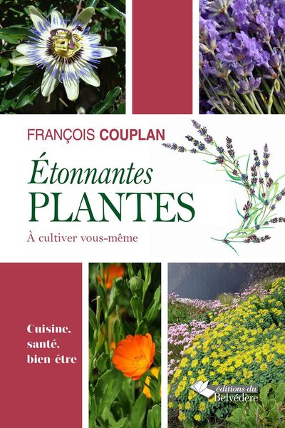Image de Etonnantes plantes à cultiver vous-même