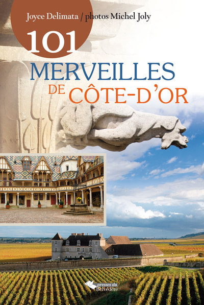 Image de 101 merveille de Côte-d'Or