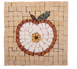 Picture of Kit Mosaîque complet 100 naturelles  Pomme coupé  MINI 12X12 MOSAIKIT
