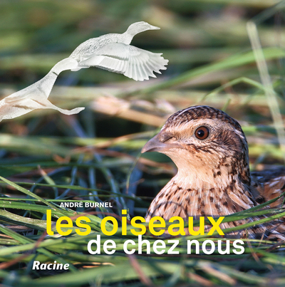 Image de Les oiseaux de chez nous