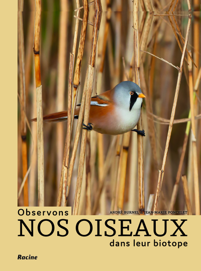 Image de Observons nos oiseaux dans leur biotope