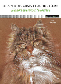 Picture of DESSINER DES CHATS ET AUTRES FÉLINS