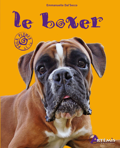 Image de Le boxer