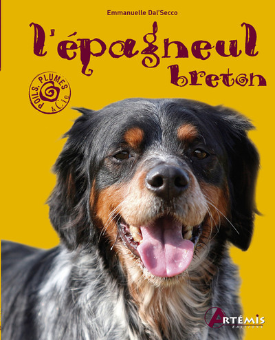 Image de L'épagneul breton