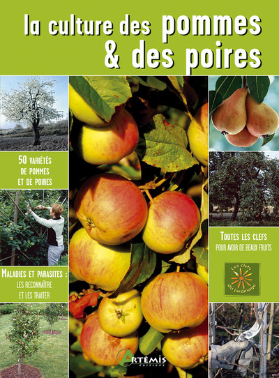 Image de La culture des pommes et des poires