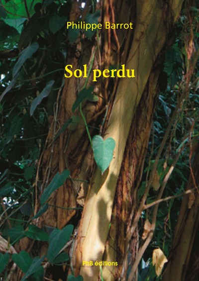 Image de Sol perdu