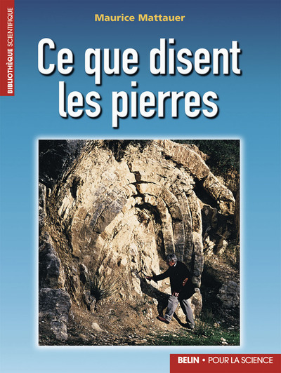 Image de Ce que disent les pierres