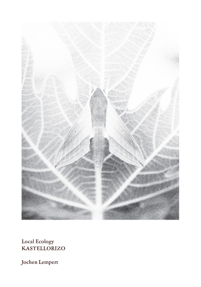 Picture of Local Ecology – Kastellorizo